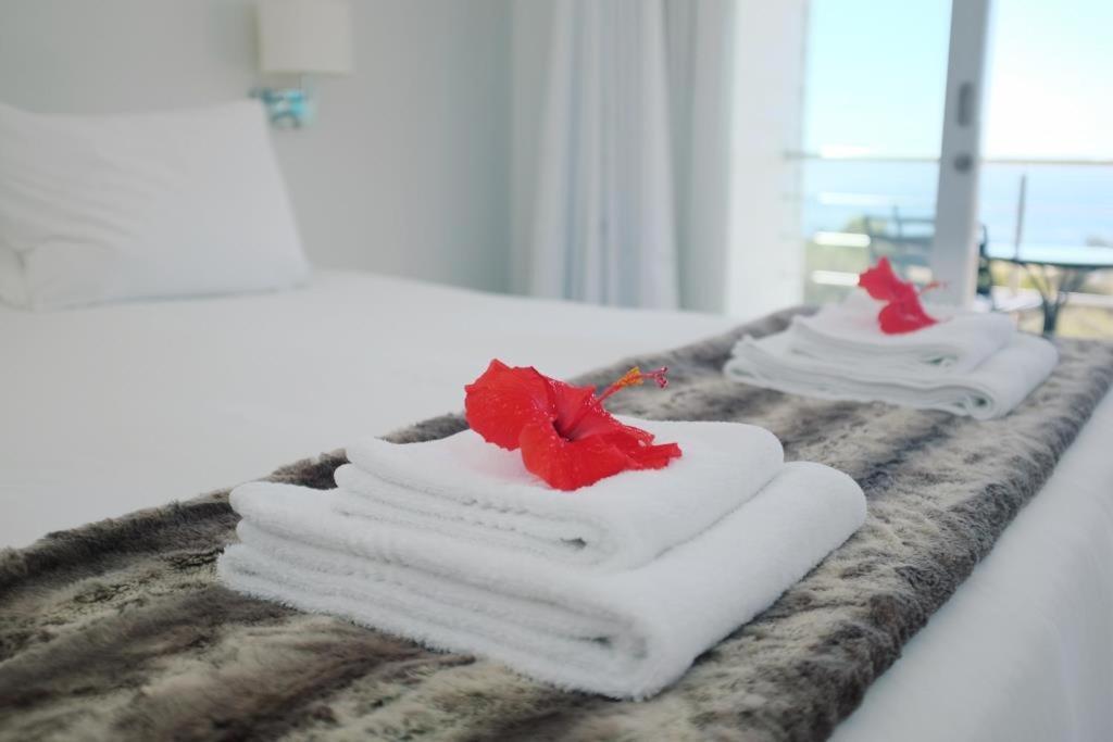 Bright Camps Bay Loft With Stunning Views And Shared Pool Apartment Cape Town Luaran gambar